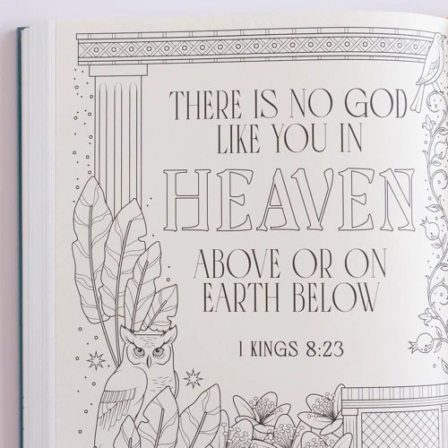 NIV Illuminated Bible