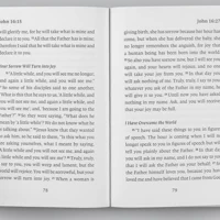 ESV Gospel of John, Large Print