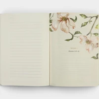 ESV Prayer Journal: 30 Days on the Gospel