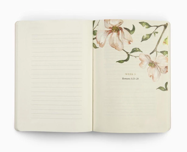 ESV Prayer Journal: 30 Days on the Gospel