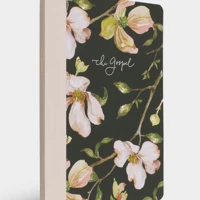 ESV Prayer Journal: 30 Days on the Gospel