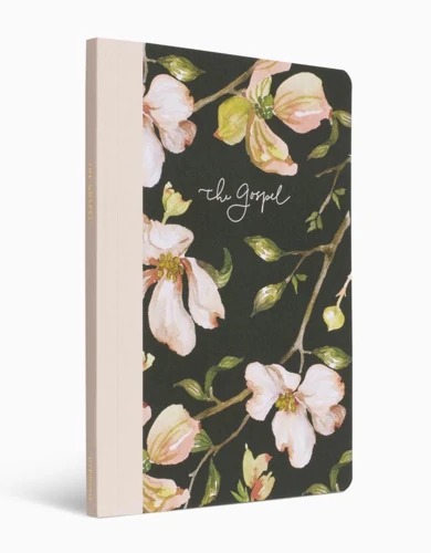 ESV Prayer Journal: 30 Days on the Gospel