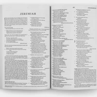 ESV Economy Bible (Paperback)