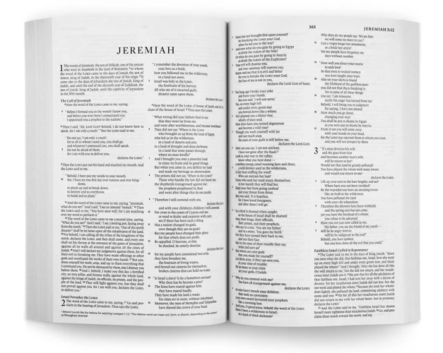 ESV Economy Bible (Paperback)