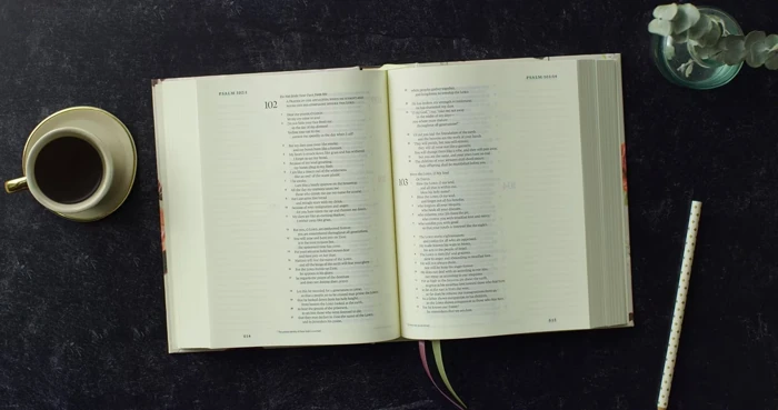 ESV Single Column Journaling Bible