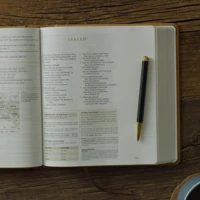 ESV Journaling Study Bible