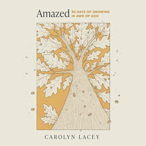 Amazed (audiobook)