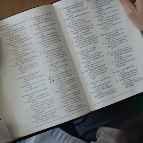 ESV Large Print Wide Margin Bible