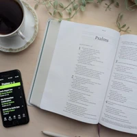 NLT Wide Margin Bible, Filament Enabled