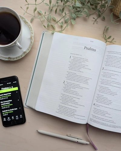NLT Wide Margin Bible, Filament Enabled