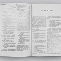 ESV Economy Bible, Giant Print