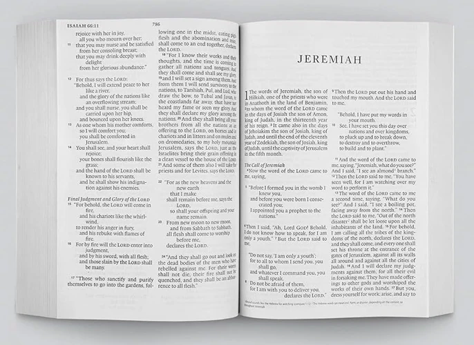 ESV Economy Bible, Giant Print