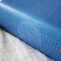 NIrV, Clear Focus Bible for Kids (Leathersoft, Blue)