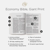ESV Economy Bible, Giant Print