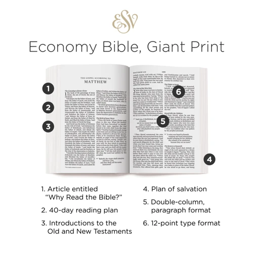 ESV Economy Bible, Giant Print