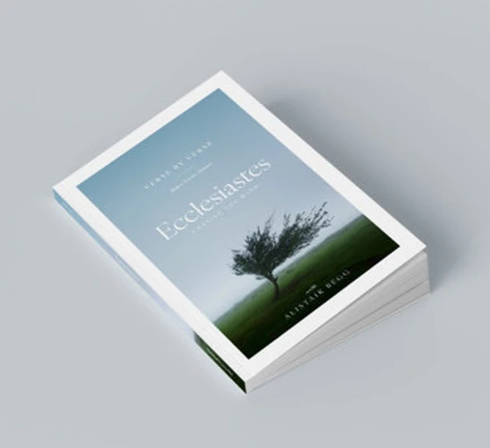 Ecclesiastes: Chasing the Wind (Verse by Verse)