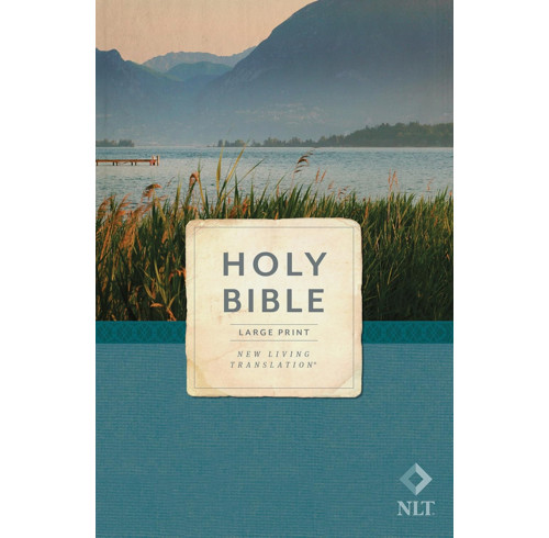 NLT Holy Bible, Economy Outreach Edition, Large Print