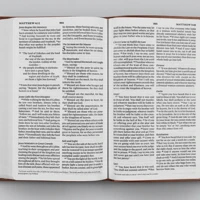 ESV Large Print Value Thinline Bible