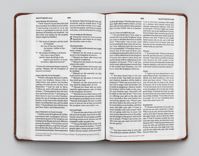 ESV Large Print Value Thinline Bible