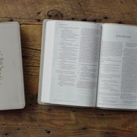 ESV Large Print Value Thinline Bible (1 Chronicles 28:9 Design)