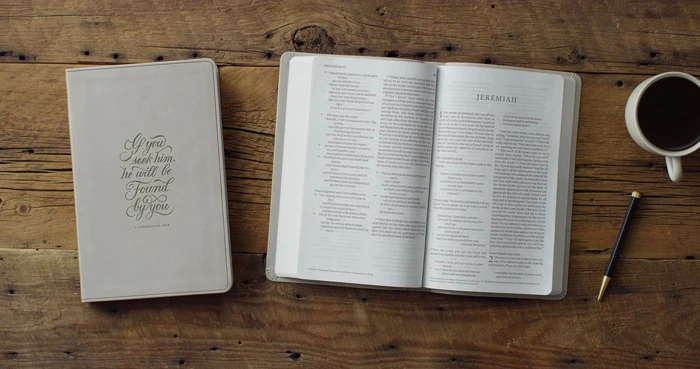 ESV Large Print Value Thinline Bible (1 Chronicles 28:9 Design)