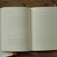ESV Prayer Journal: 30 Days on Wisdom