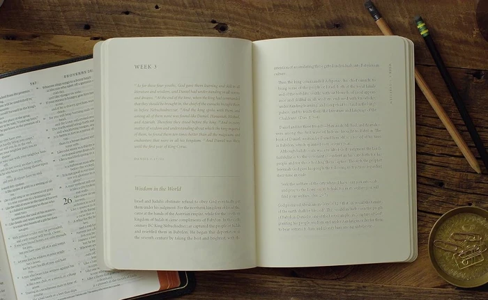 ESV Prayer Journal: 30 Days on Wisdom