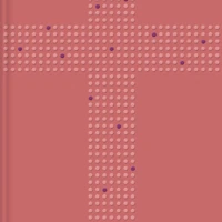 NIrV, Clear Focus Bible for Kids (Leathersoft, Pink)