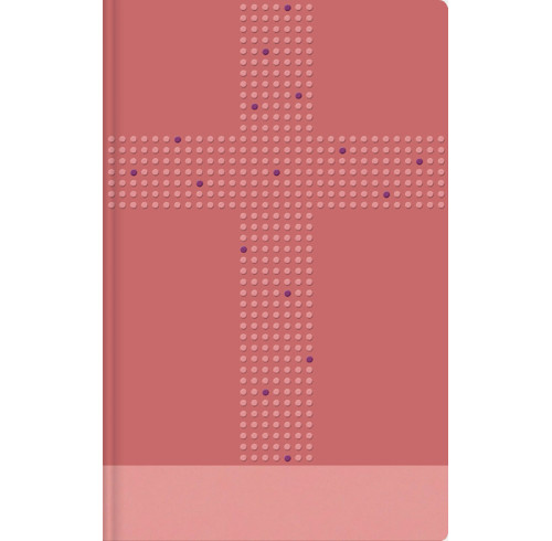 NIrV, Clear Focus Bible for Kids (Leathersoft, Pink)