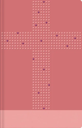 NIrV, Clear Focus Bible for Kids (Leathersoft, Pink)