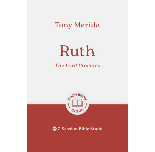 Ruth: The Lord Provides (ebook)