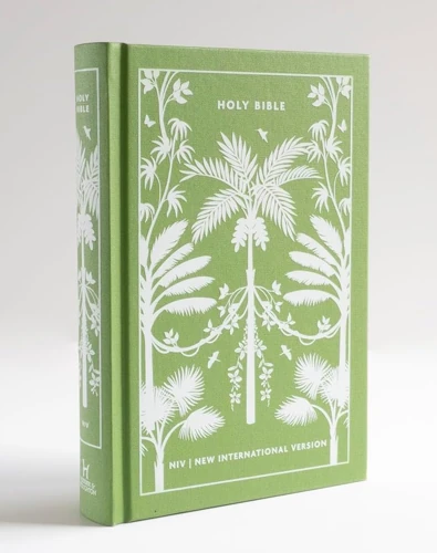 NIV Clothbound Classic Bible