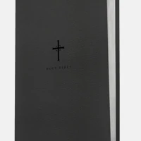 NLT Large Print Premium Value Thinline Bible, Filament Enabled