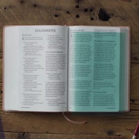 ESV Holy Bible: Dyslexia-Friendly Edition