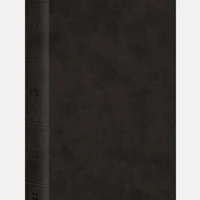 ESV Giant Print Value Thinline Bible