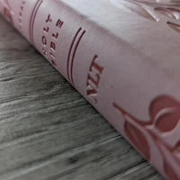NLT Premium Value Thinline Bible, Filament-Enabled