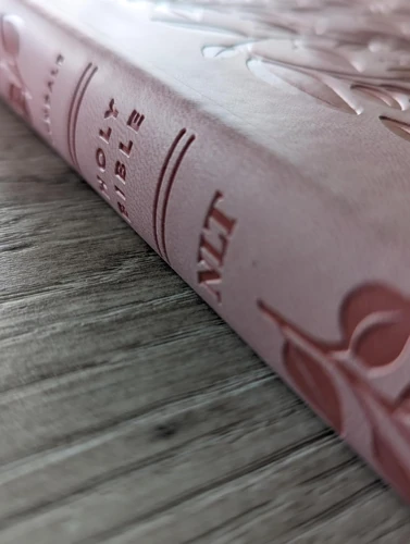 NLT Premium Value Thinline Bible, Filament-Enabled
