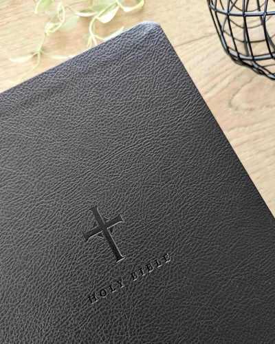 NLT Large Print Premium Value Thinline Bible, Filament Enabled
