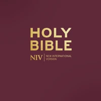 NIV Pocket Mulberry Bible with Gold Zip
