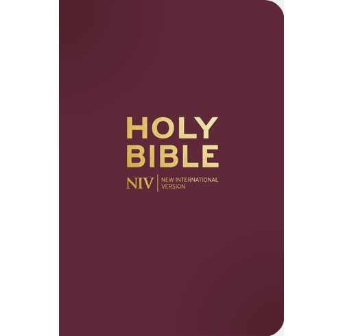 NIV Pocket Mulberry Bible with Gold Zip